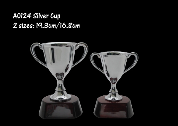 Silver Cup