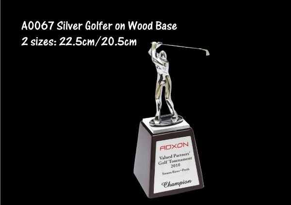 Silver Golfer on Woo..